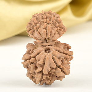 Garbh Gauri 9 Mukhi from Nepal
