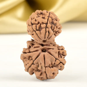 Garbh Gauri 10 Mukhi from Nepal Small
