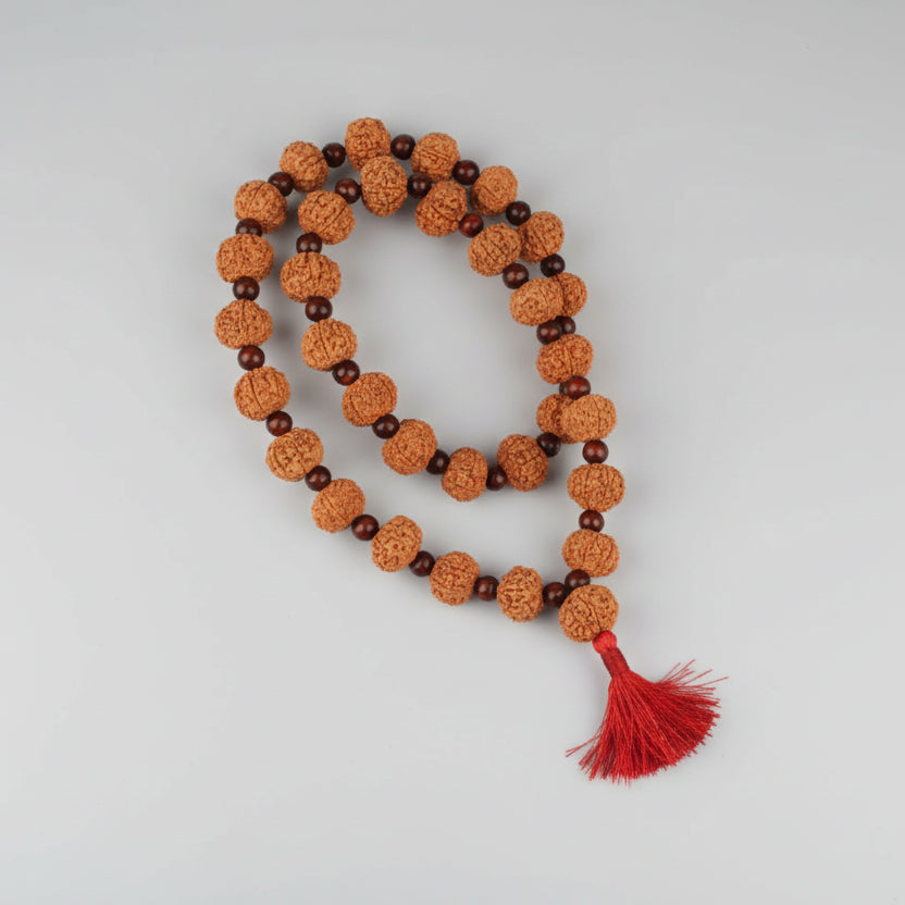Collector 7 Mukhi with Red Sandalwood Mala