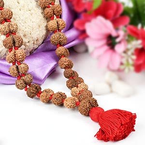 Gauri Shankar Java Kanthi Large Beads
