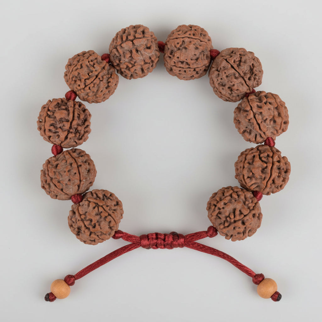 6 Mukhi Nepali Rudraksha Adjustable Bracelet-Regular
