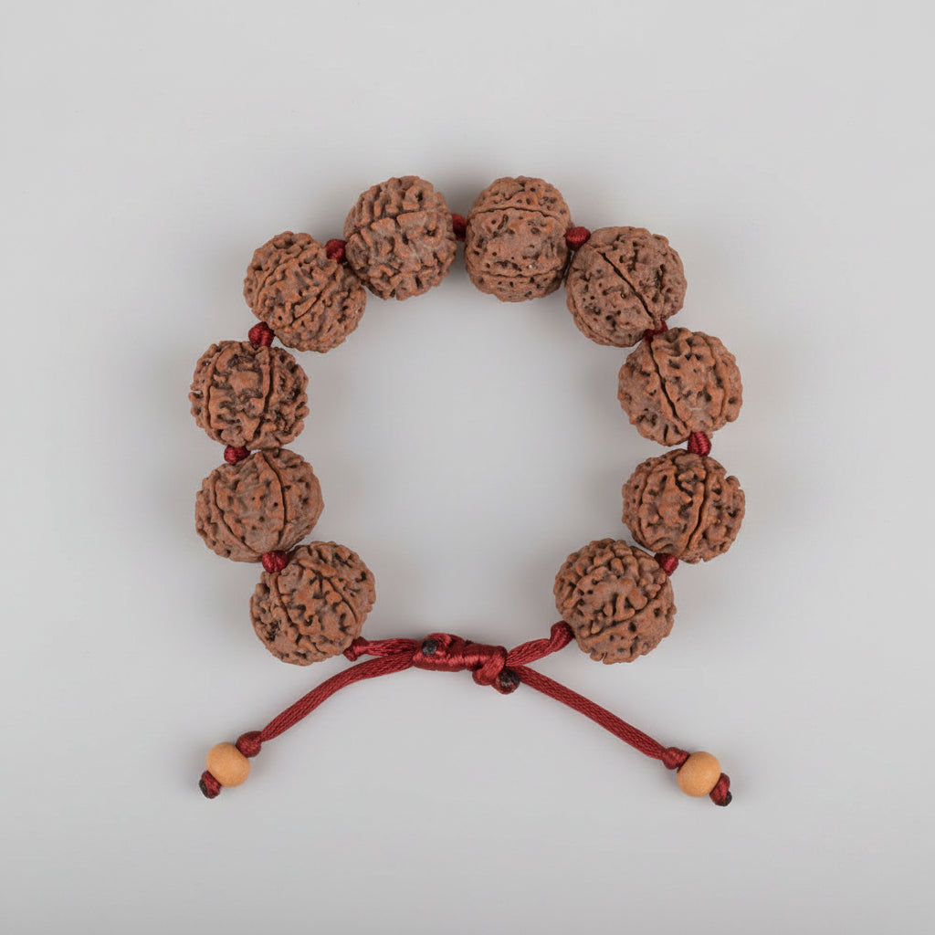6 Mukhi Nepali Rudraksha Adjustable Bracelet-Small