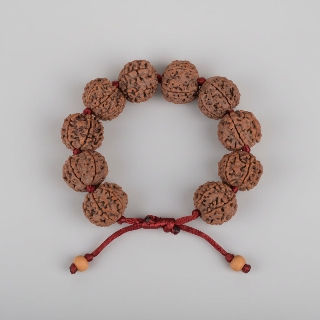 6 Mukhi Nepali Rudraksha Adjustable Bracelet-Large