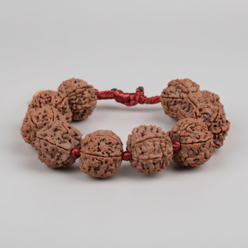 6 Mukhi Nepali Rudraksha Adjustable Bracelet-Large