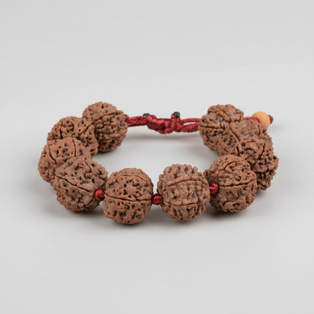 6 Mukhi Nepali Rudraksha Adjustable Bracelet-Small