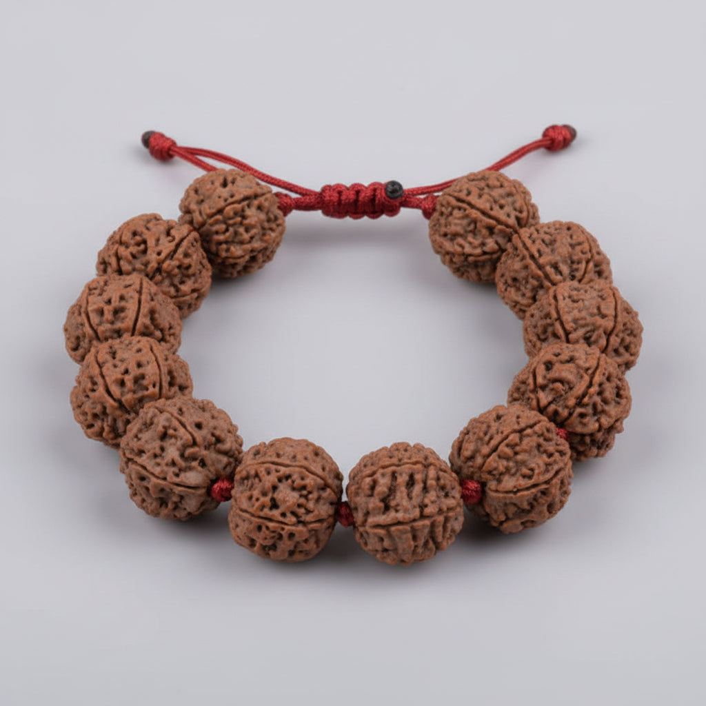 6 Mukhi Nepali Rudraksha Adjustable Bracelet-Regular