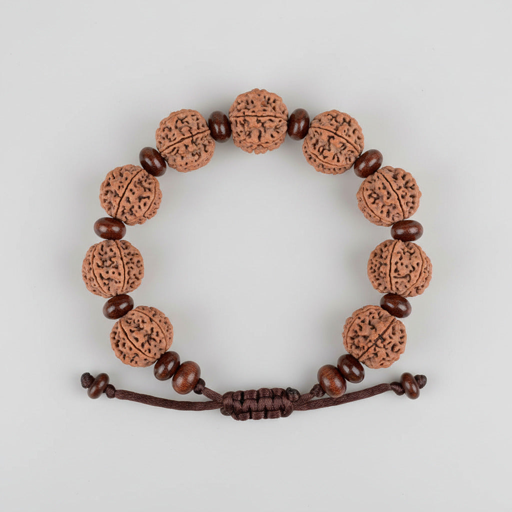 6 Mukhi Nepali Rudraksha x Red Sandal Adjustable Bracelet-Small