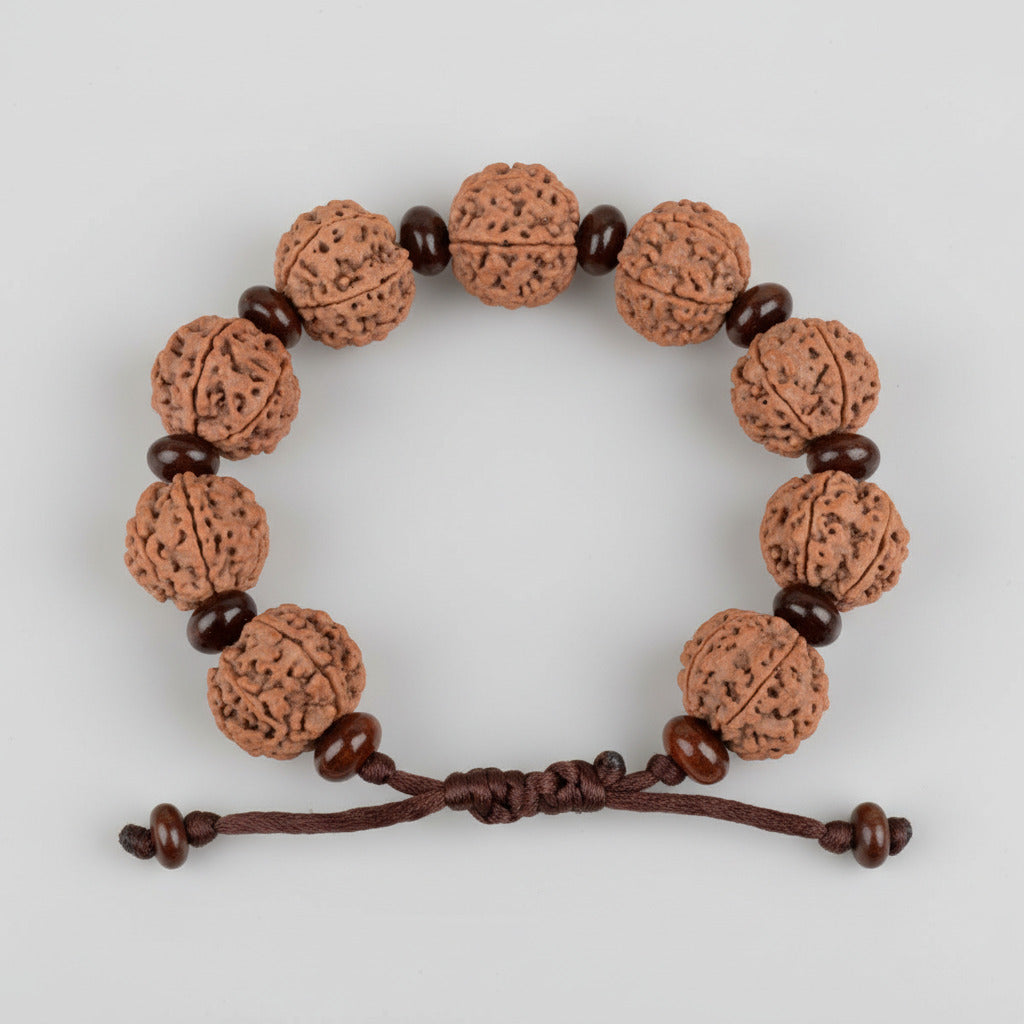 6 Mukhi Nepali Rudraksha x Red Sandal Adjustable Bracelet-Large