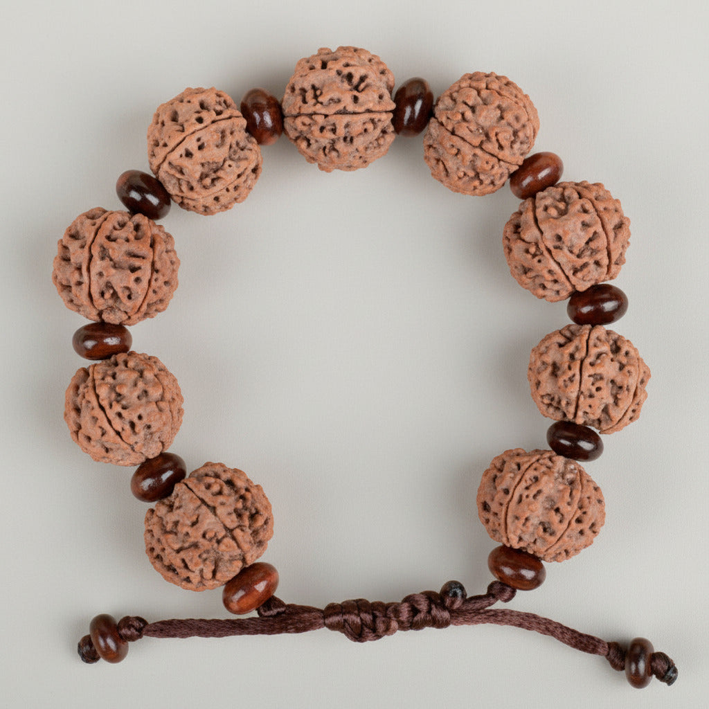 6 Mukhi Nepali Rudraksha x Red Sandal Adjustable Bracelet-Small