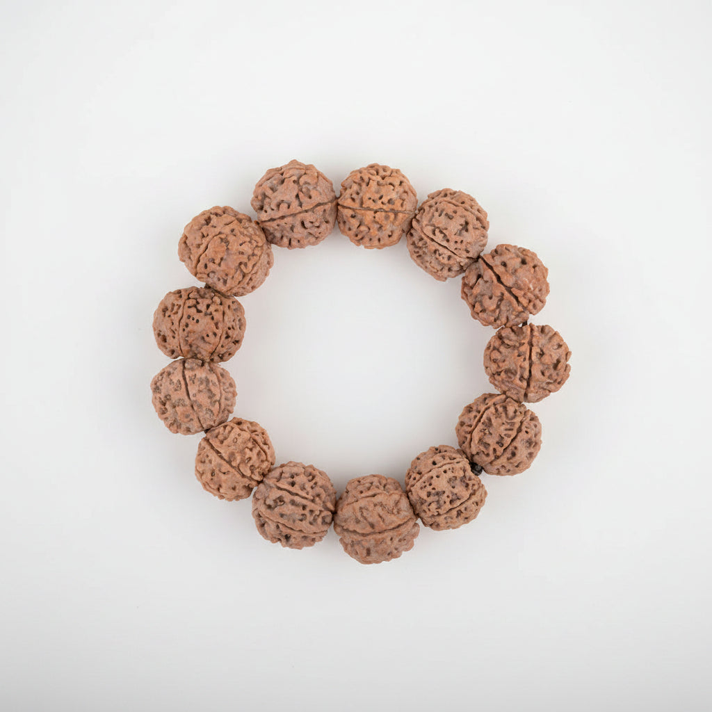 6 Mukhi Nepali Rudraksha Bracelet-Small