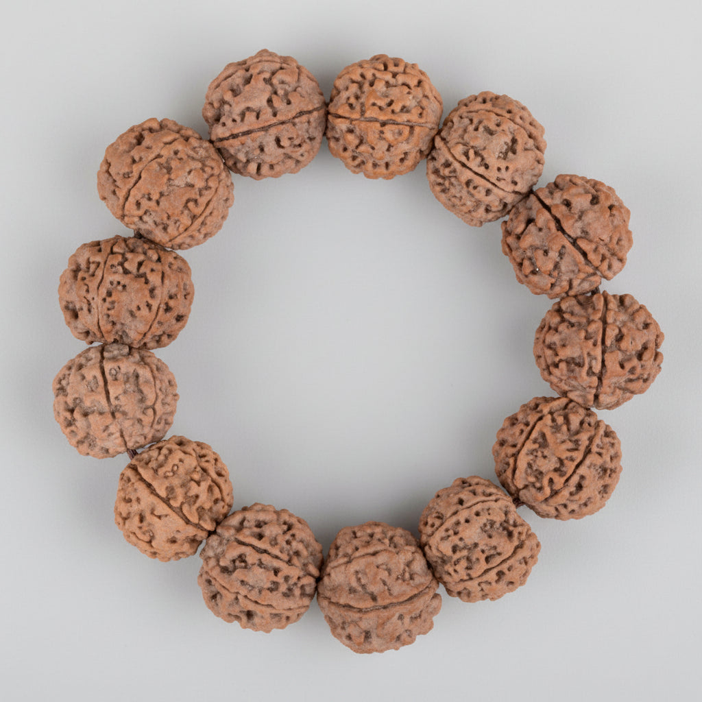 6 Mukhi Nepali Rudraksha Bracelet-Small