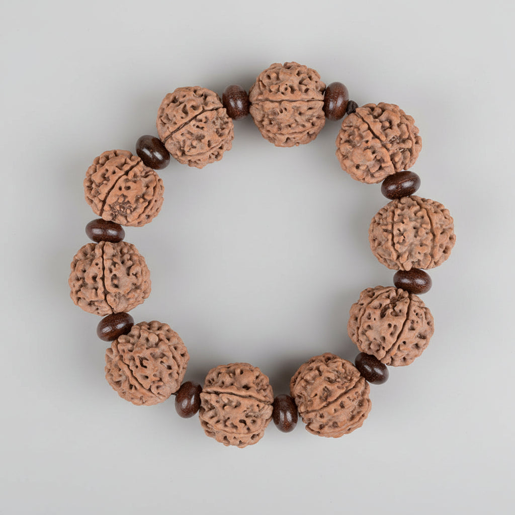 6 Mukhi Nepali Rudraksha x Red Sandalwood Bracelet-Regular