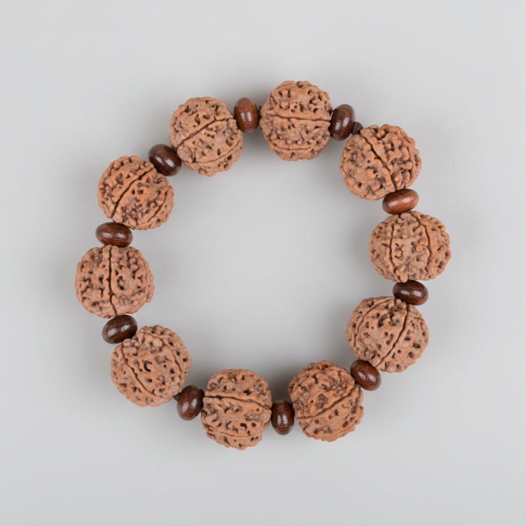 6 Mukhi Nepali Rudraksha x Red Sandalwood Bracelet-Regular