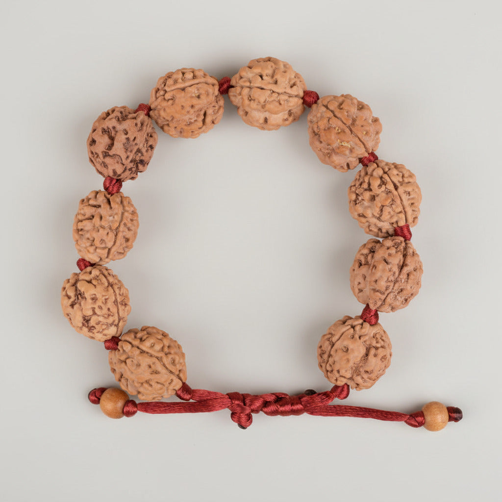 3 Mukhi Nepali Rudraksha Adjustable Bracelet-Large