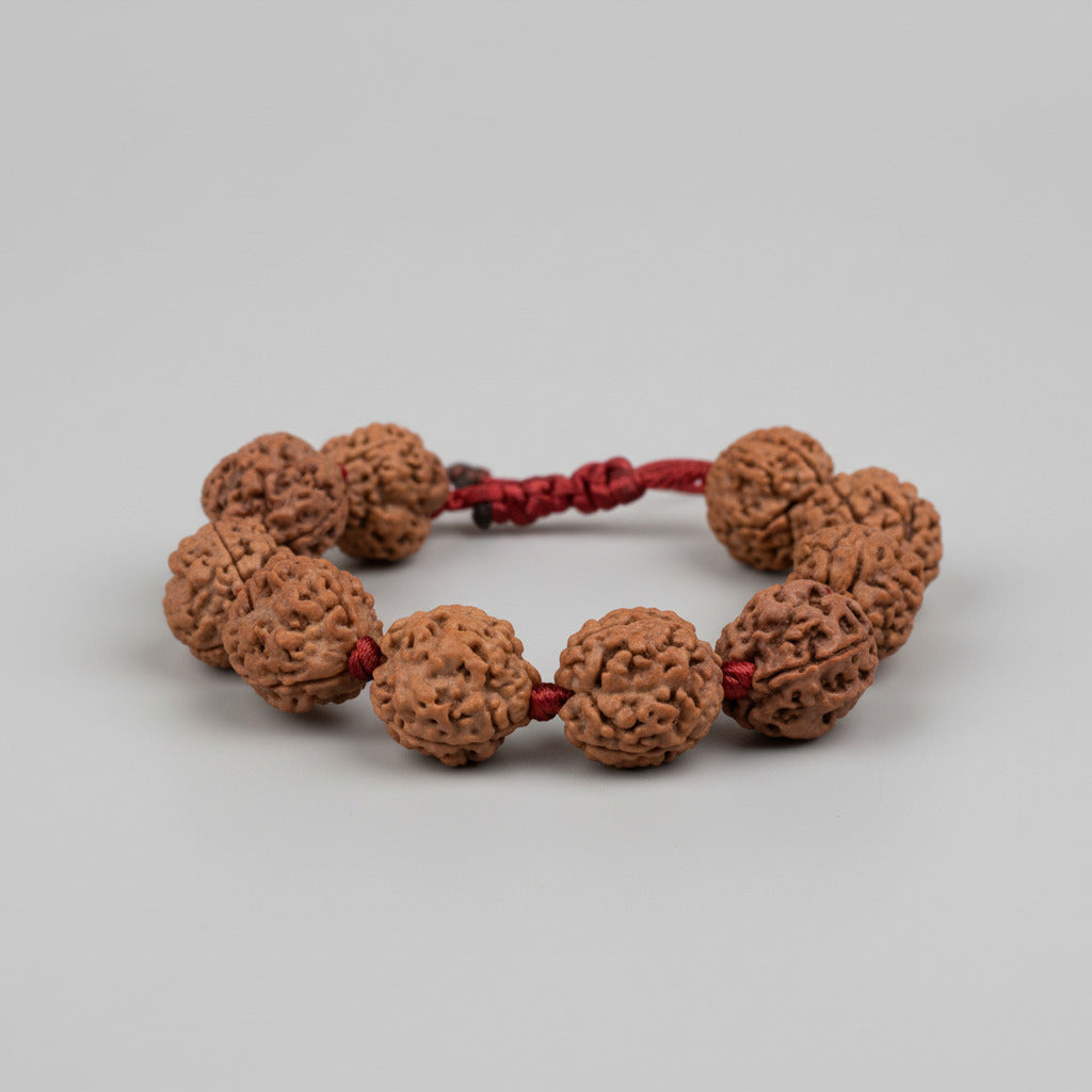 3 Mukhi Nepali Rudraksha Adjustable Bracelet-Large
