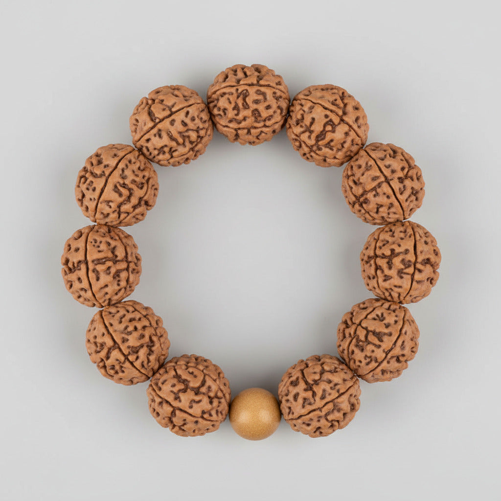 3 Mukhi Nepali Rudraksha Bracelet-Large