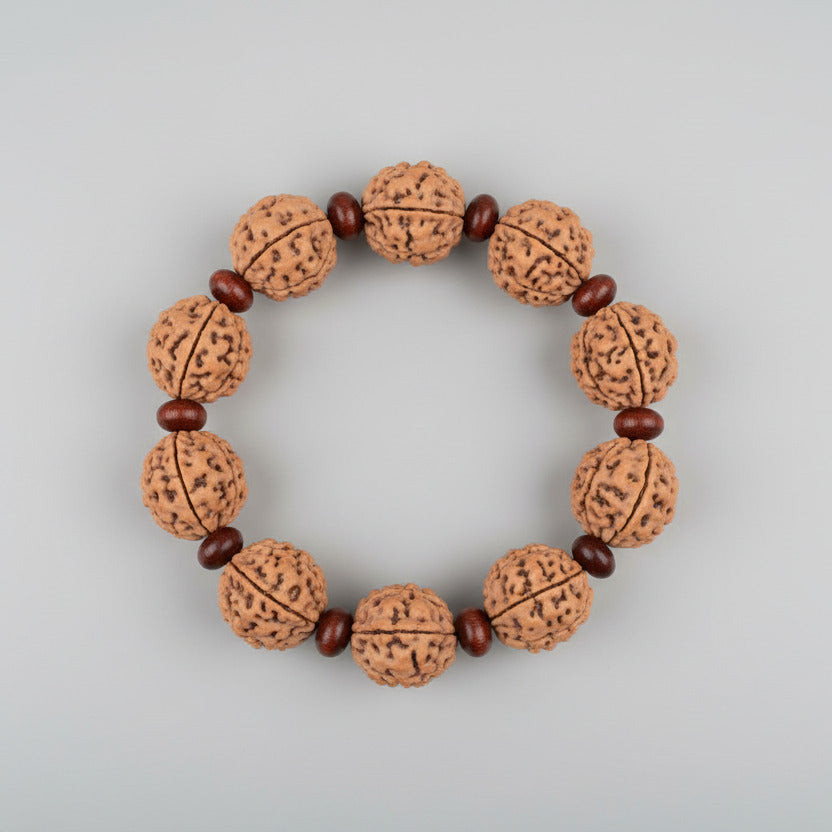 3 Mukhi Nepali Rudraksha x Red Sandalwood Bracelet-Large