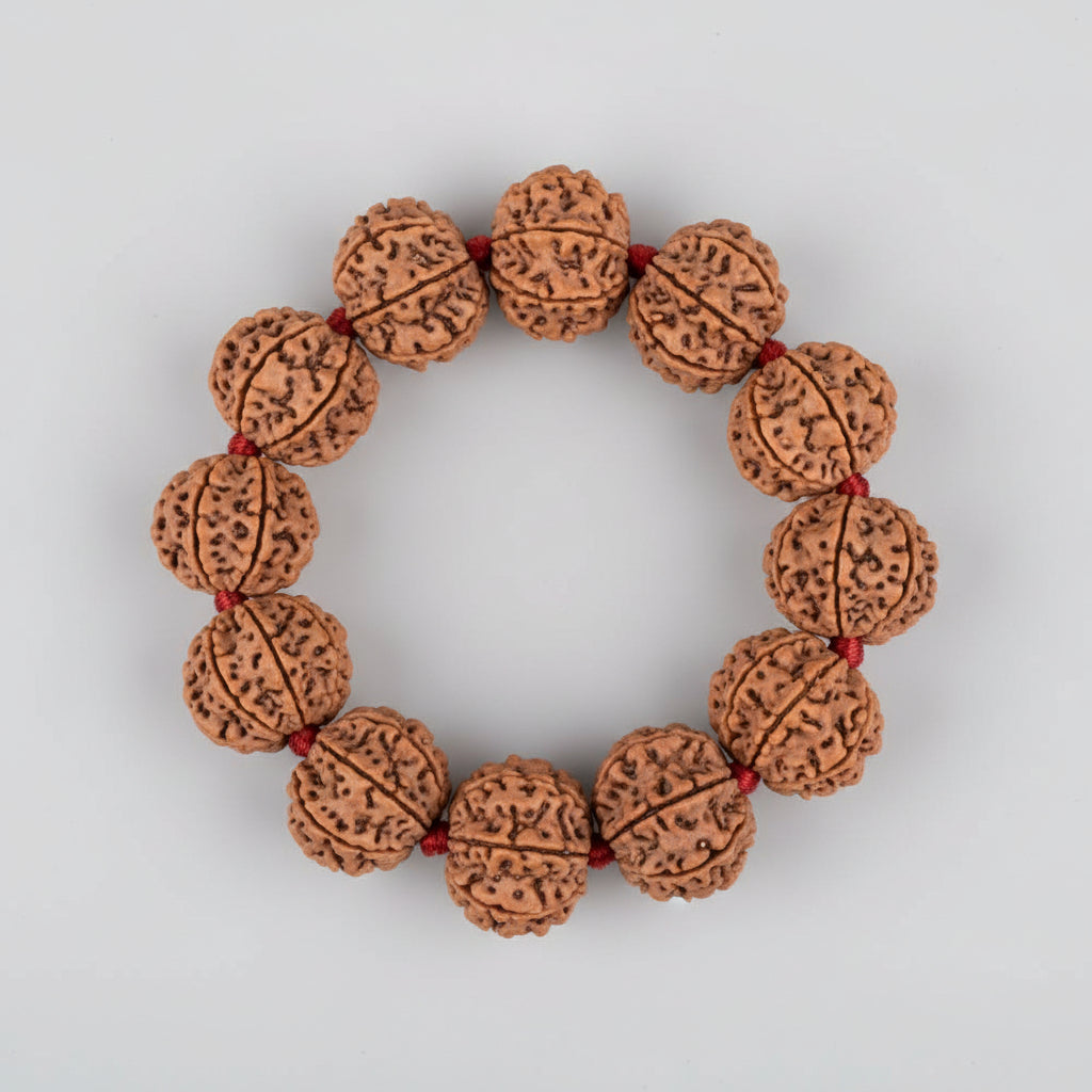 8 Mukhi Nepali Rudraksha Adjustable Bracelet