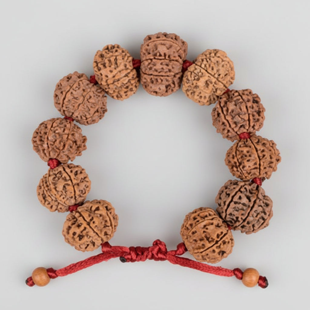 8 Mukhi Nepali Rudraksha Adjustable Bracelet