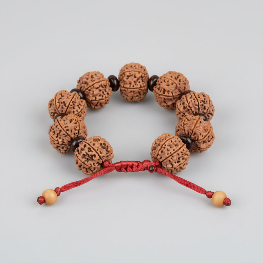 8 Mukhi Nepali Rudraksha x Red Sandal Adjustable Bracelet