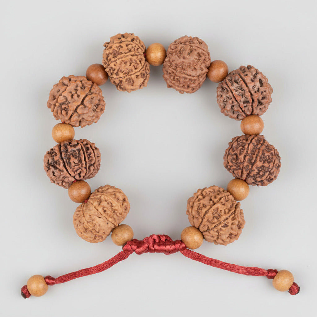 8 Mukhi Nepali Rudraksha x White Sandal Adjustable Bracelet