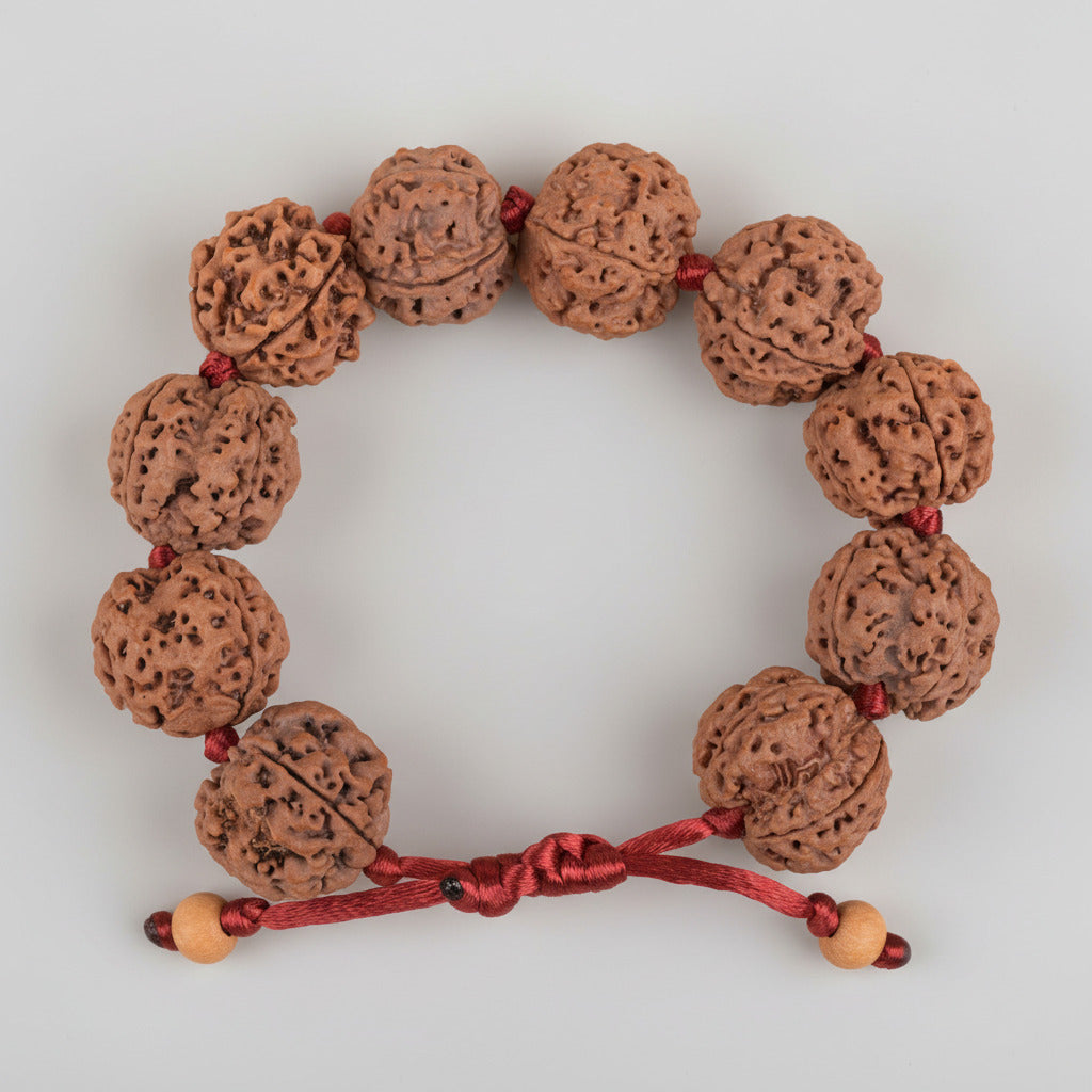 4 Mukhi Nepali Rudraksha Adjustable Bracelet-Large