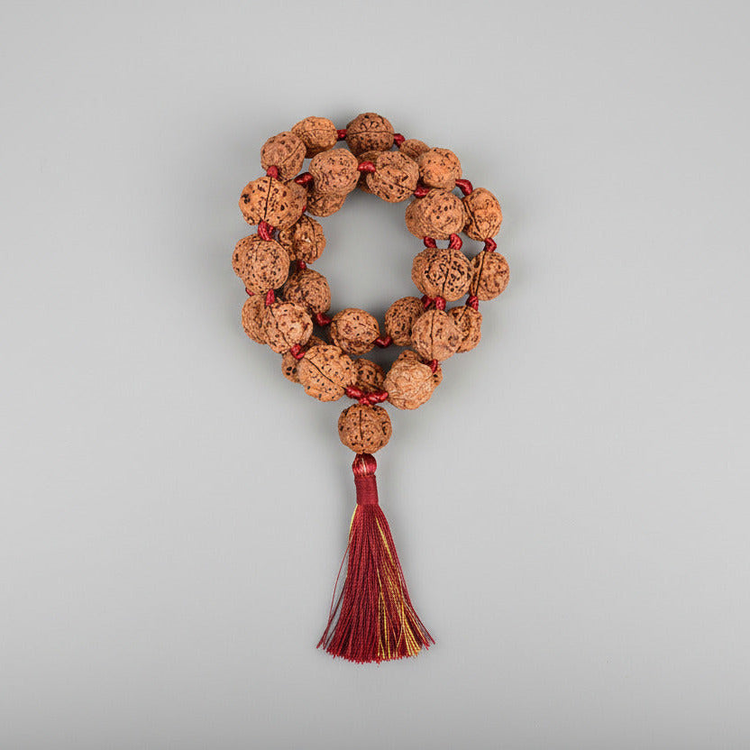 3 Mukhi Nepal Rudraksha Kantha Mala-Regular
