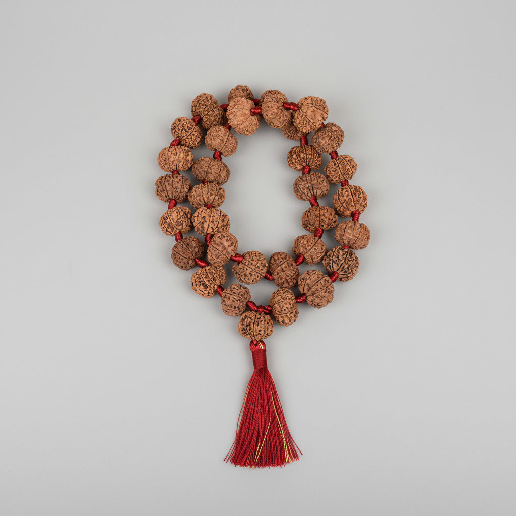 13 Mukhi Nepali Rudraksha Kantha Mala