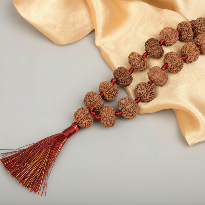 13 Mukhi Nepali Rudraksha Kantha Mala