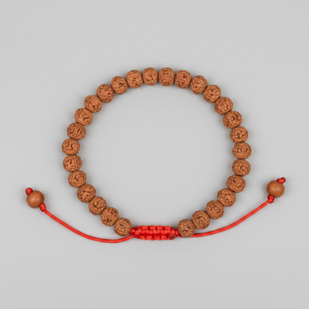 Premium 5 Mukhi Rudraksha Adjustable Bracelet-14 mm