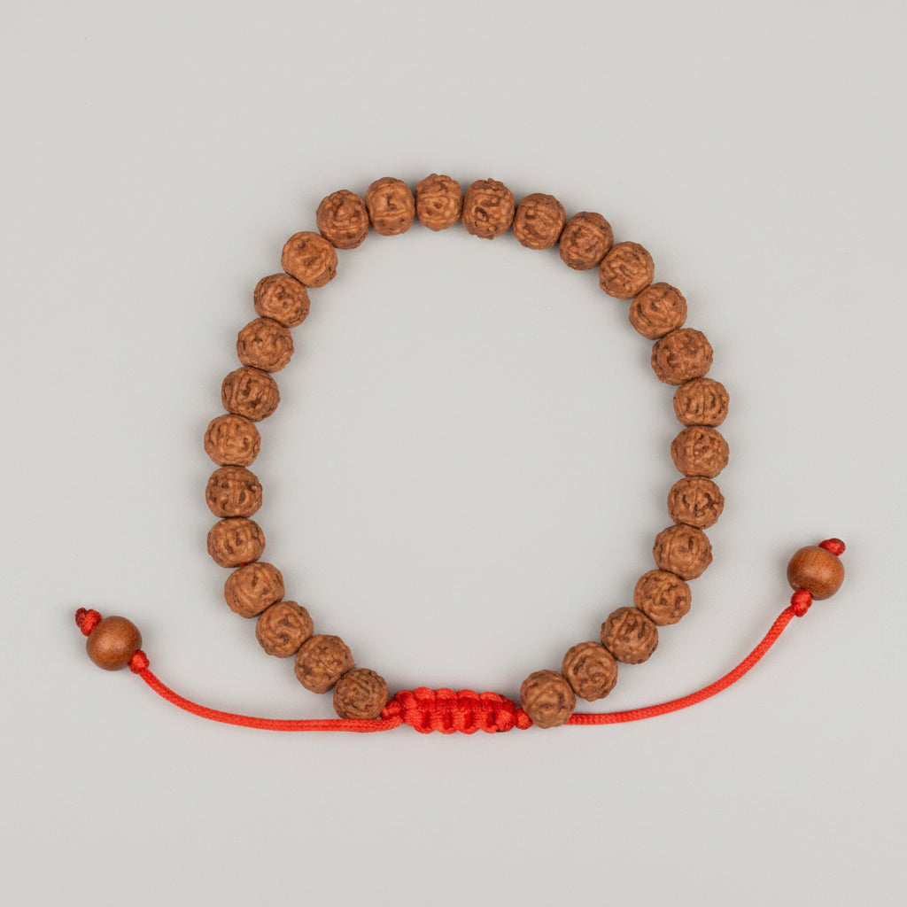 Premium 5 Mukhi Rudraksha Adjustable Bracelet-10 mm