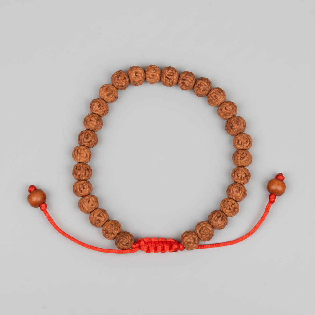 Premium 5 Mukhi Rudraksha Adjustable Bracelet-8 mm