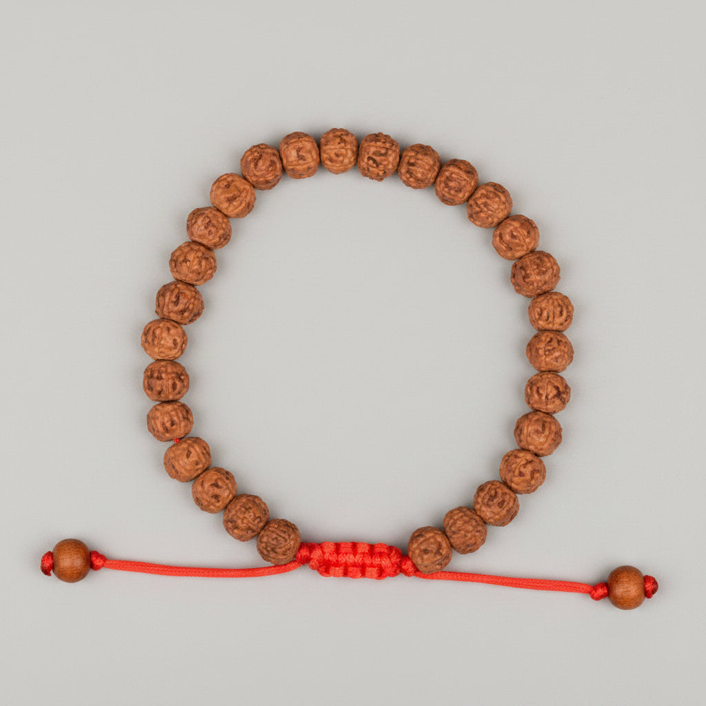 Premium 5 Mukhi Rudraksha Adjustable Bracelet-12 mm