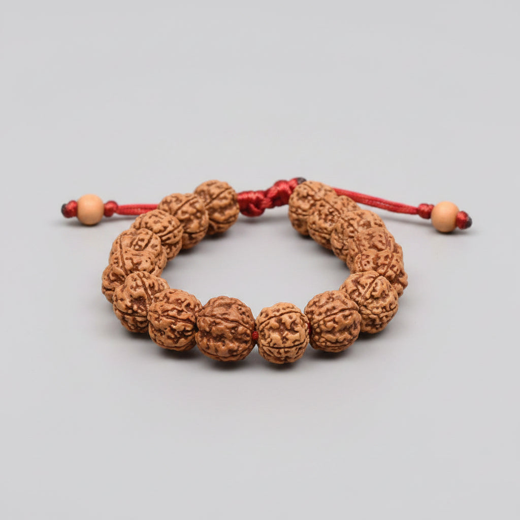Premium 5 Mukhi Rudraksha Adjustable Bracelet-14 mm