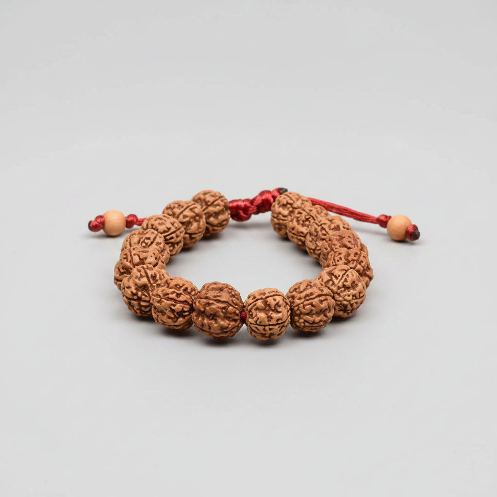 Premium 5 Mukhi Rudraksha Adjustable Bracelet-6 mm