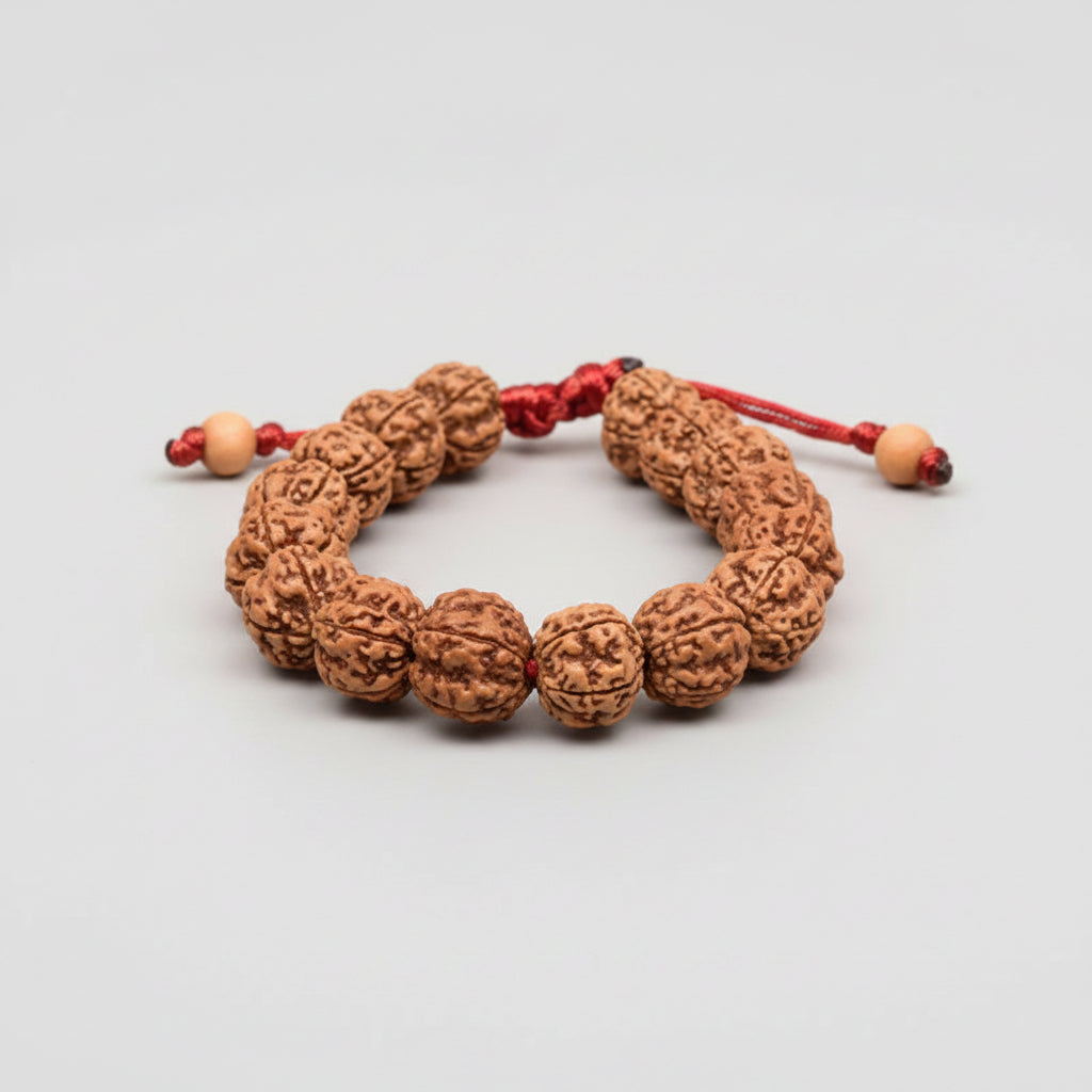 Premium 5 Mukhi Rudraksha Adjustable Bracelet-10 mm
