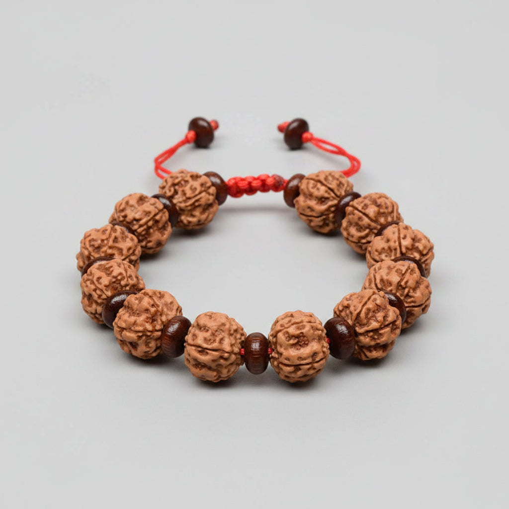 Premium 5 Mukhi Rudraksha x Red Sandalwood Adjustable Bracelet-12 mm