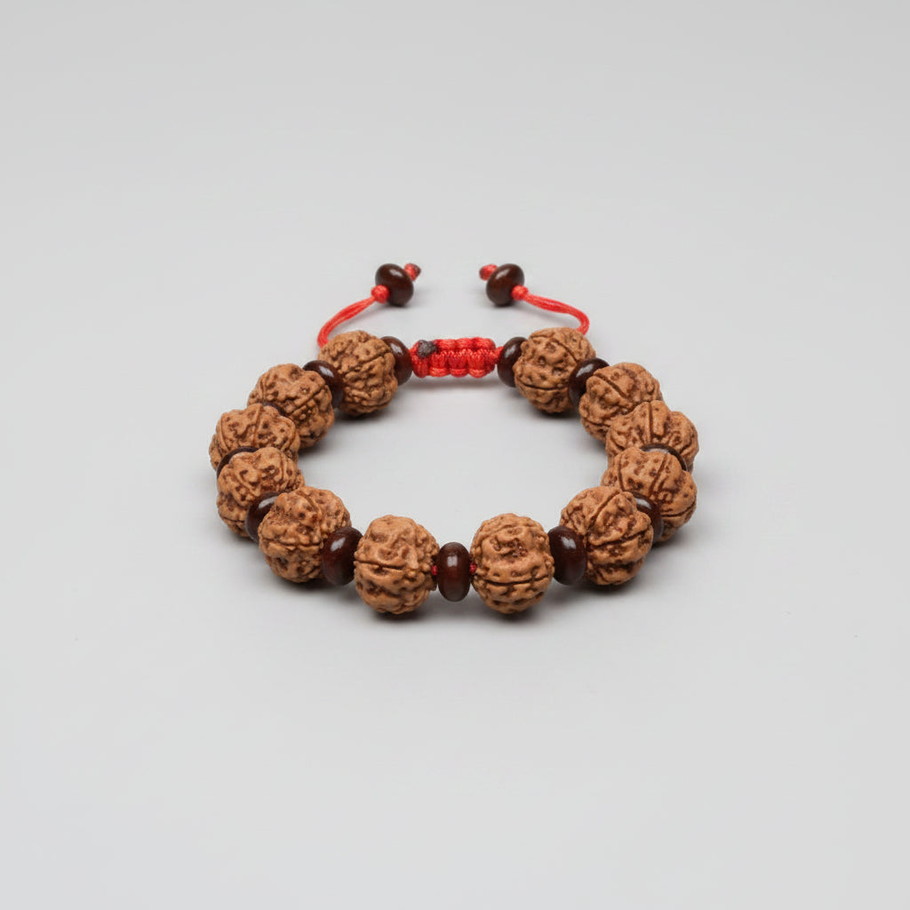 Premium 5 Mukhi Rudraksha x Red Sandalwood Adjustable Bracelet-10 mm