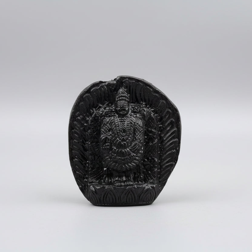 Lord Venkateshwara Shaligram Murti