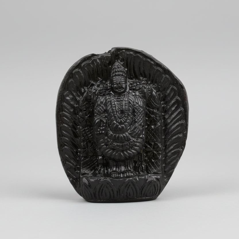 Lord Venkateshwara Shaligram Murti