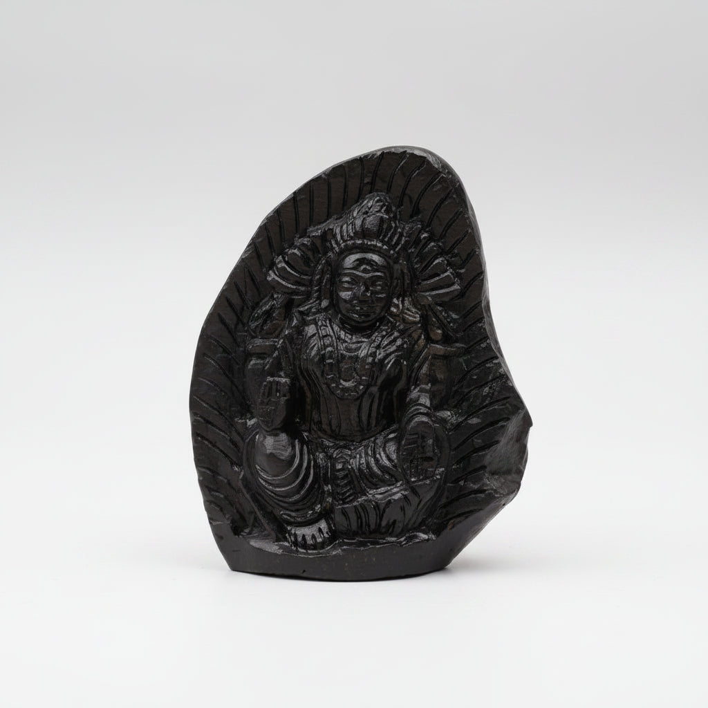 Padmavati Laxmi Shaligram Idol