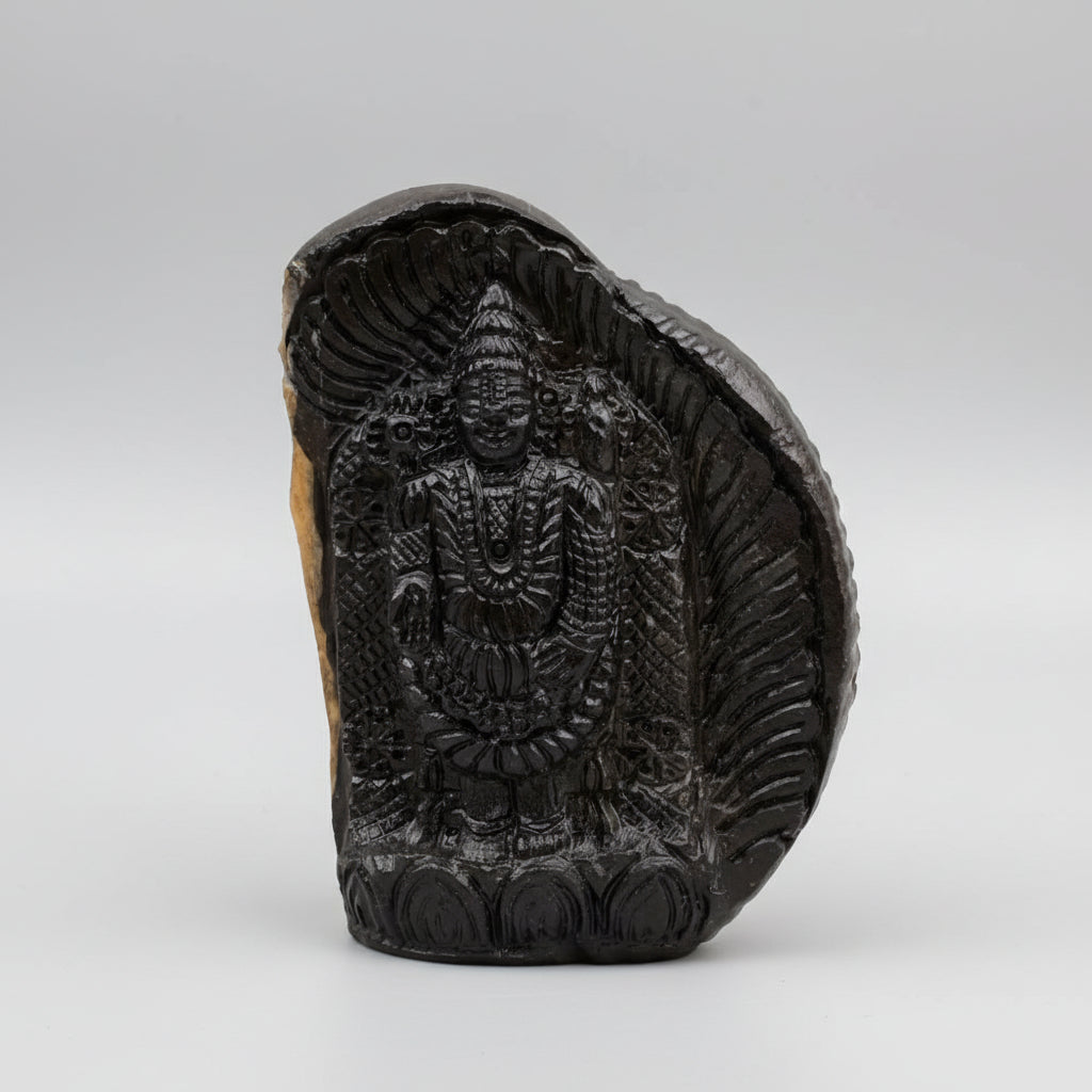 Tirupati Balaji Shaligram Idol
