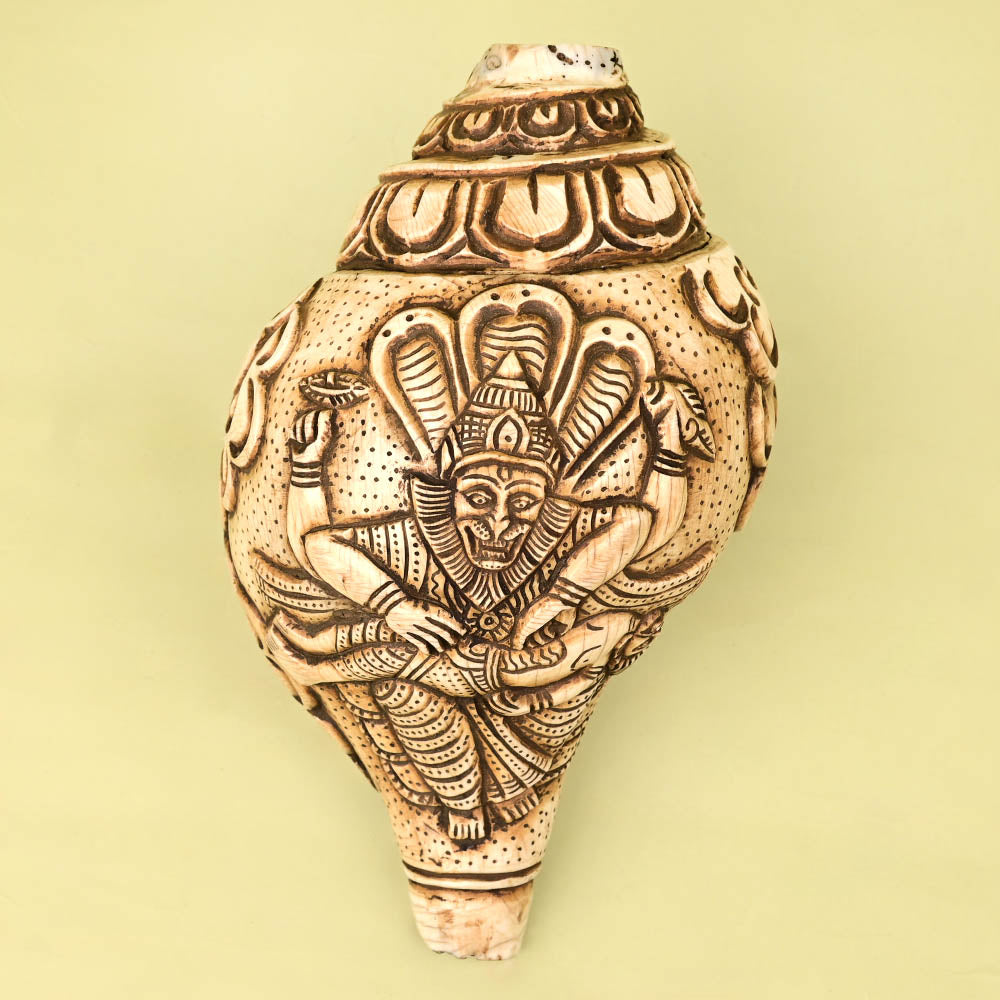 Narsimha Carved Natural Shankh