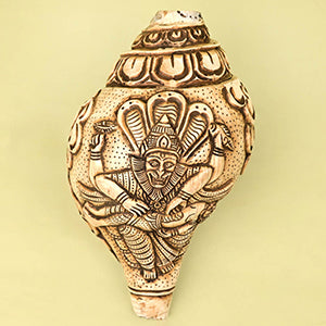 Narsimha Carved Natural Shankh