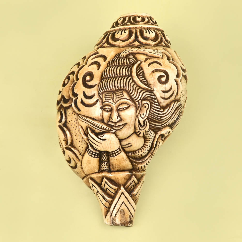 Neelkanth Shiva Carved Natural Shankh
