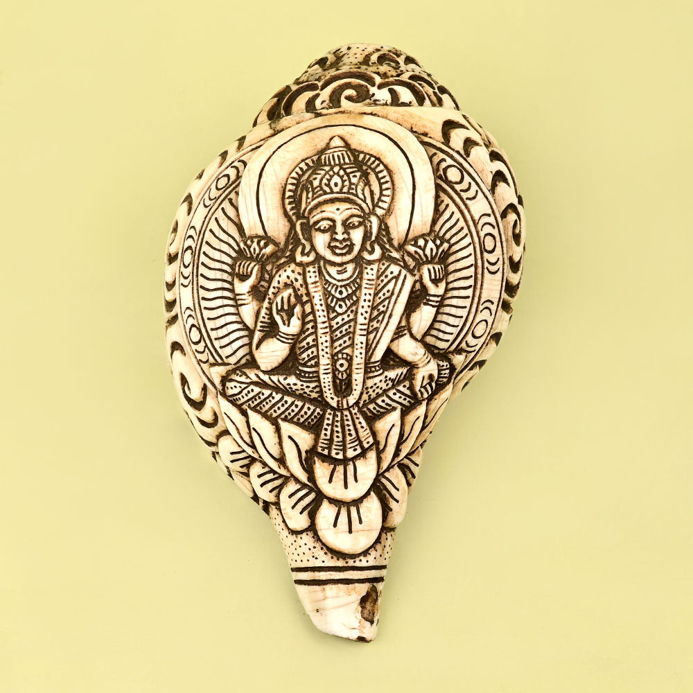 Goddess Laxmi Carved Natural Shankh