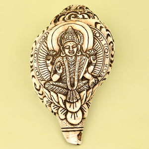 Goddess Laxmi Carved Natural Shankh