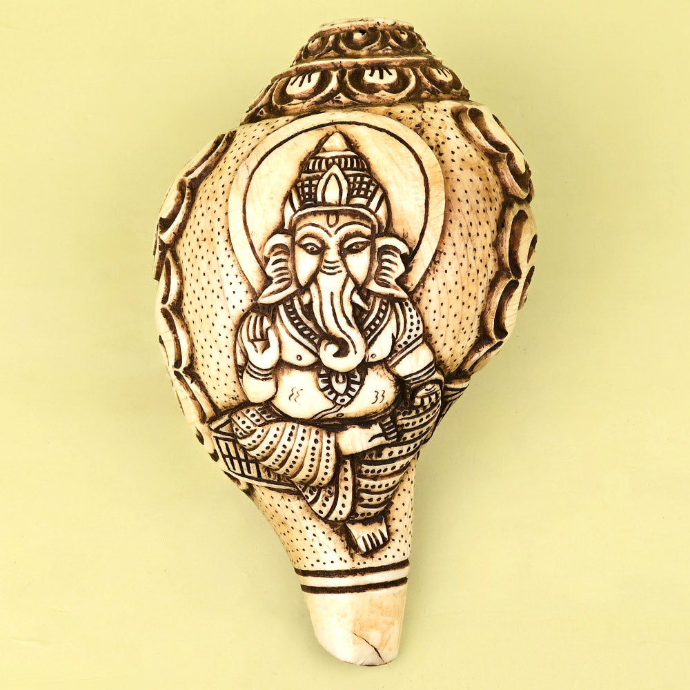 Shree Ganesh Carved Natural Shankh