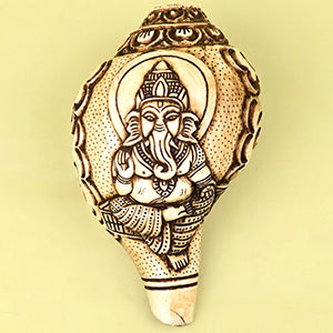 Shree Ganesh Carved Natural Shankh