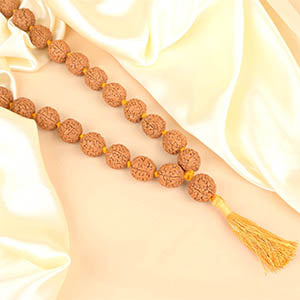 Premium 5 Mukhi Rudraksha Mala-12 mm